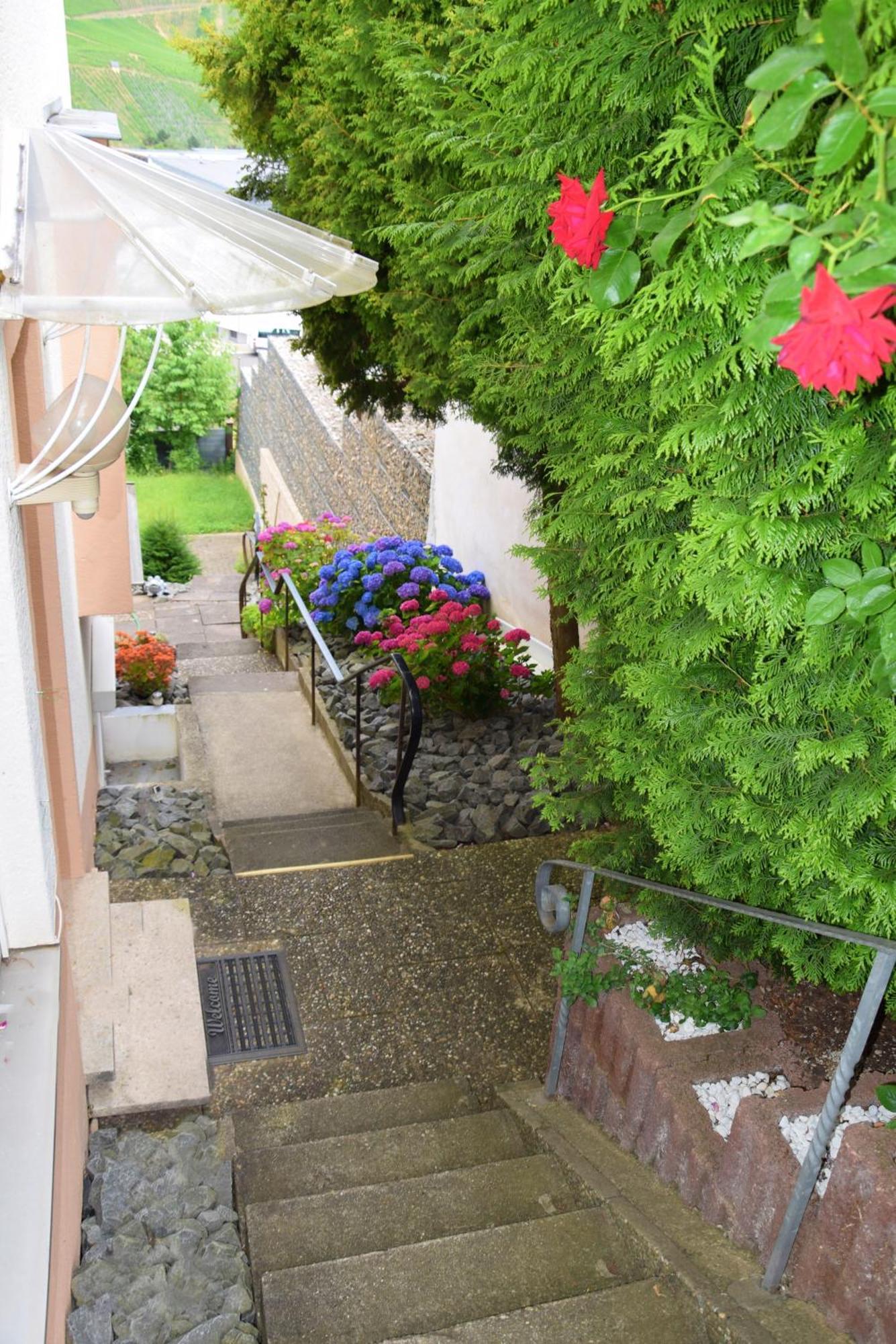 Appartamento Haus Constanze Bernkastel-Kues Esterno foto