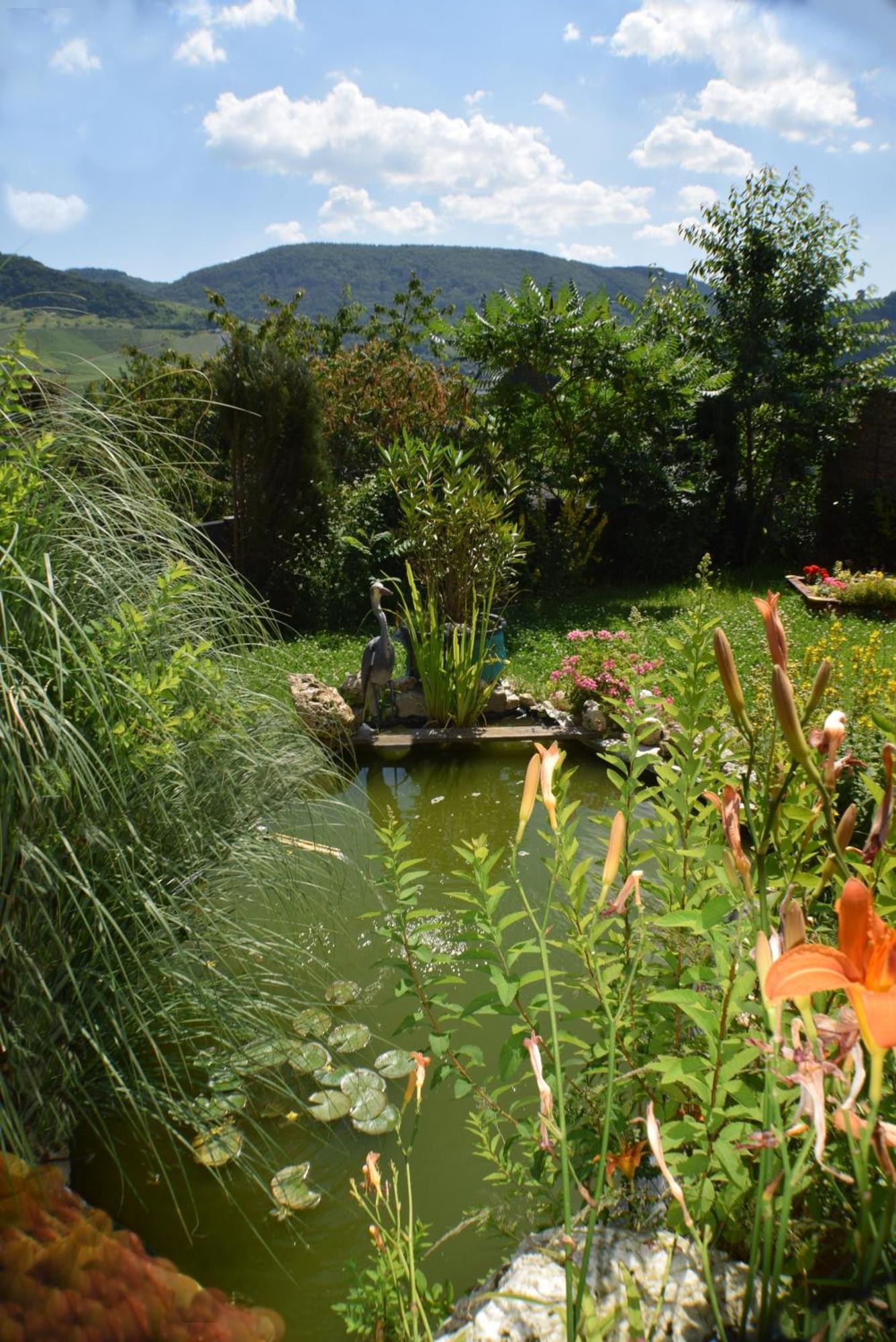 Appartamento Haus Constanze Bernkastel-Kues Esterno foto