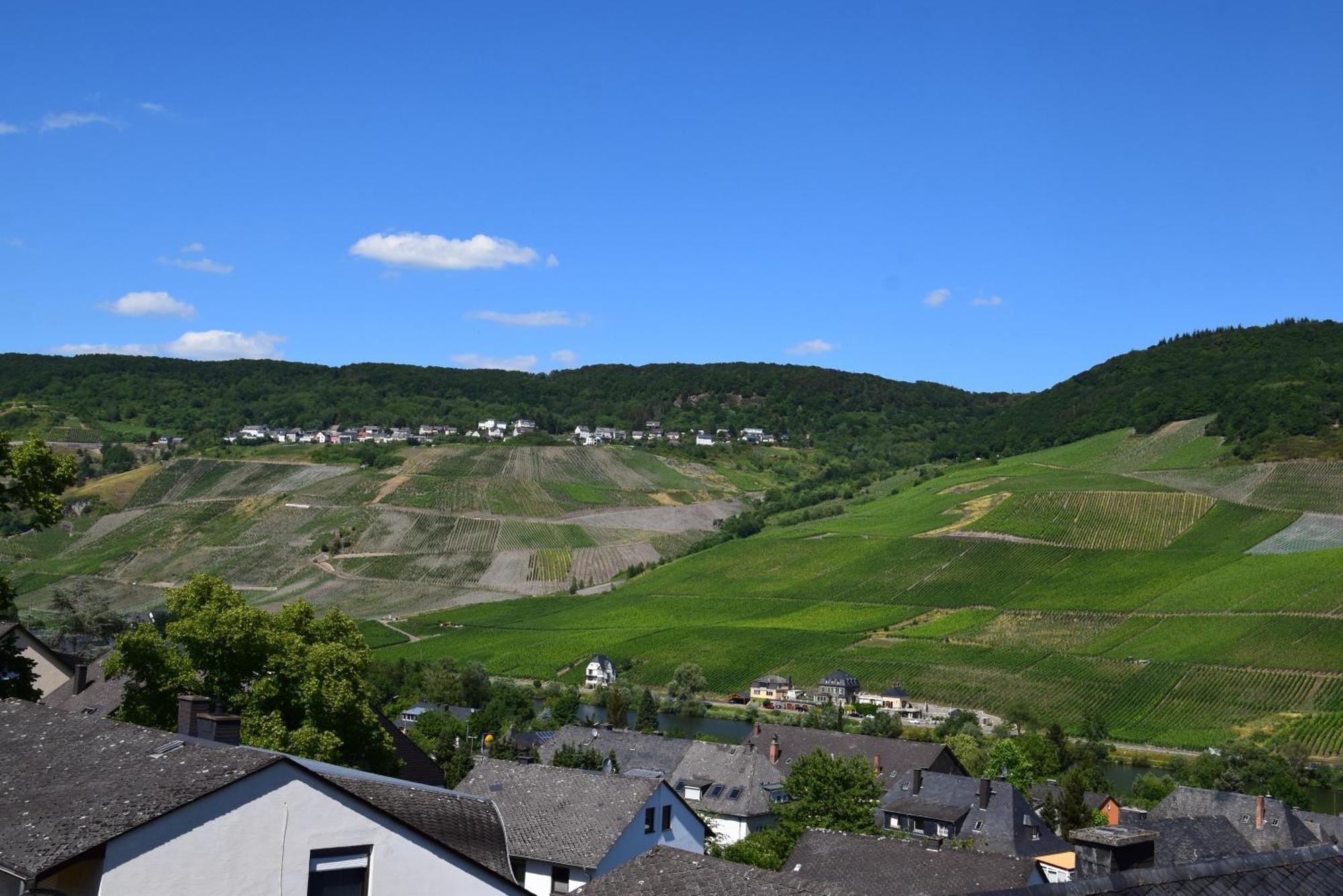 Appartamento Haus Constanze Bernkastel-Kues Esterno foto
